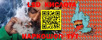 гидропоника Гусев
