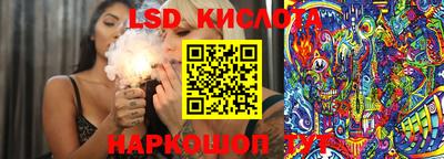 гидропоника Гусев