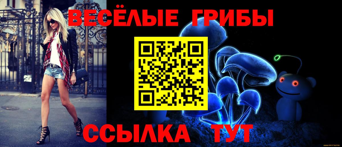 Галлюциногенные грибы ЛСД Кисловодск