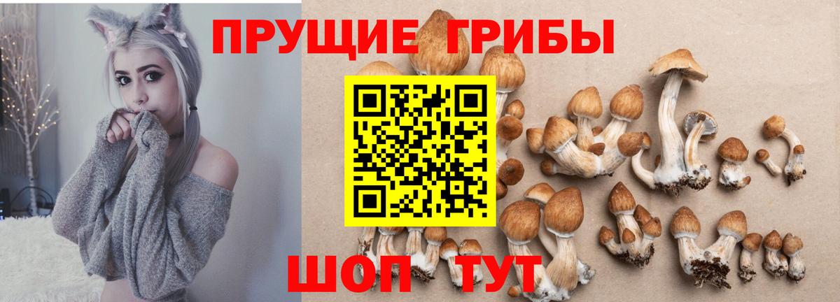 Псилоцибиновые грибы прущие грибы  Вход с VPN  Кисловодск 